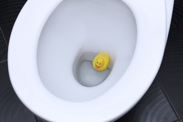 toilet stopped up